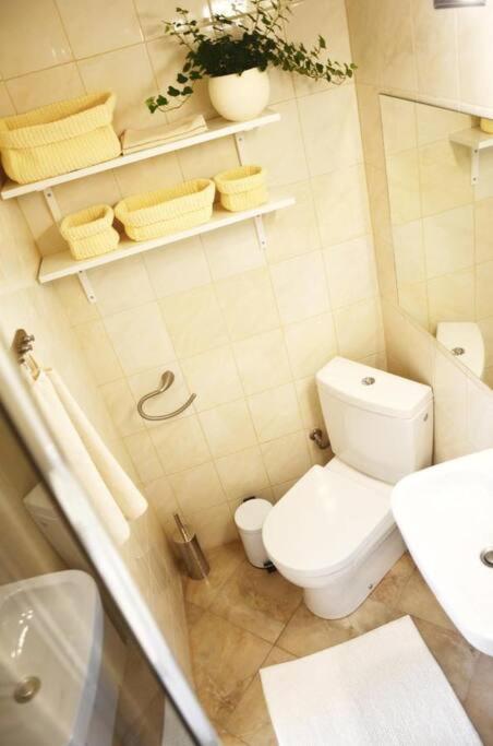 Apartment Elizabeth 1 Košice Eksteriør billede