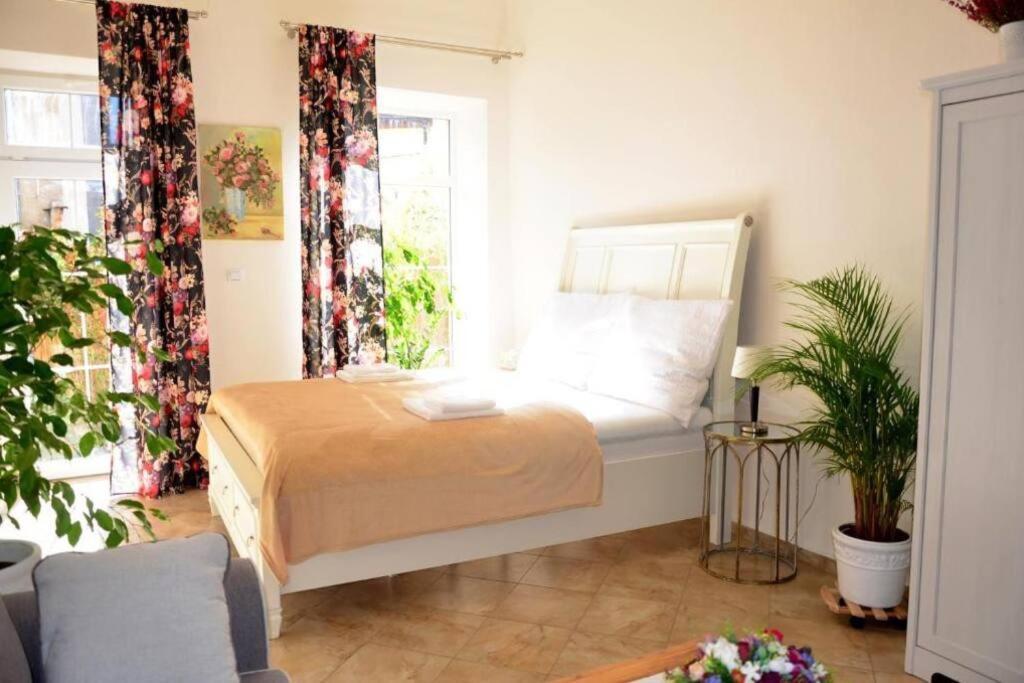 Apartment Elizabeth 1 Košice Eksteriør billede